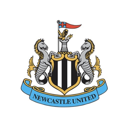 Première Ligue, Fußball, Ligue des Champions Newcastle United Football Club