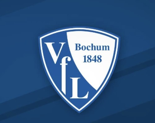 Soccer, Bundesliga VfL Bochum