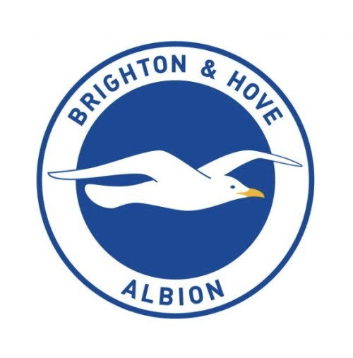 Première Ligue, Football Brighton & Hove Albion Football Club