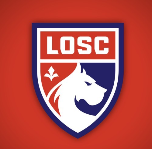 Ligue 1, Soccer, Ligue Europa, Ligue des Champions LOSC Lille