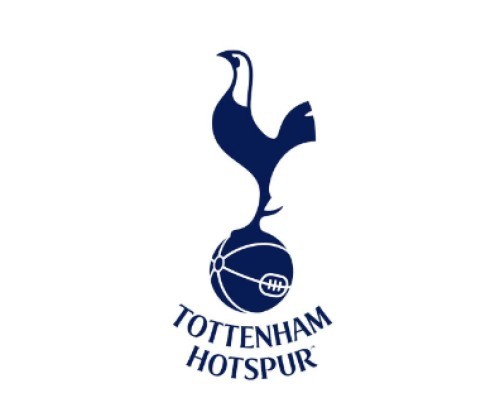 Ligue Europa, Première Ligue, Soccer, Ligue des Champions Tottenham Hotspur